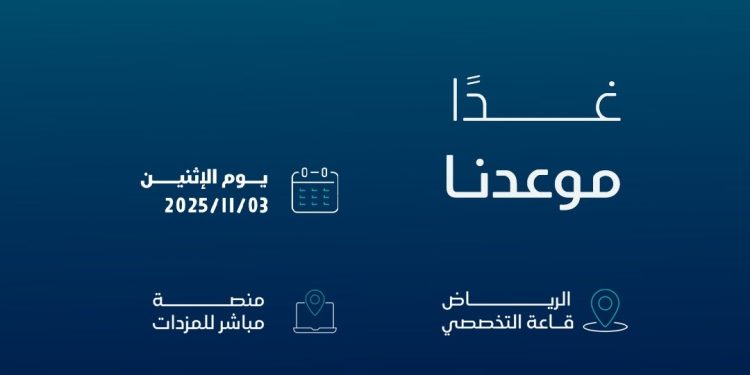 مزاد خام لوجيستيك