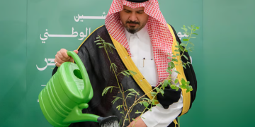 Εθνικό Πρόγραμμα Δάσωσης