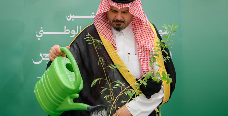 البرنامج الوطني للتشجير