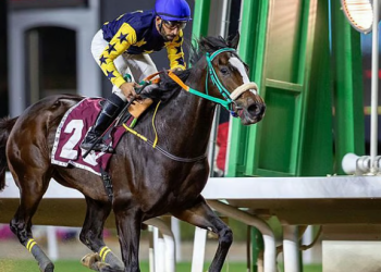 ميدان سباقات الخيل