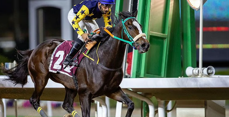 ميدان سباقات الخيل