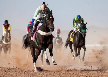 ميدان نجران لسباقات الخيل ينظم سباقه السابع للموسم الحالي
