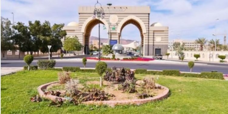 الجامعة الإسلامية