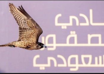 كأس نادي الصقور السعودي 2025