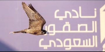 كأس نادي الصقور السعودي 2025