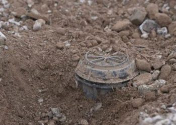 مشروع "مسام" لتطهير الأراضي اليمنية