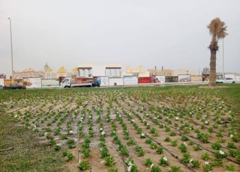 أمانة المنطقة الشرقية تتهيأ لافتتاح المدينة العالمية بالدمام مطلع 2026