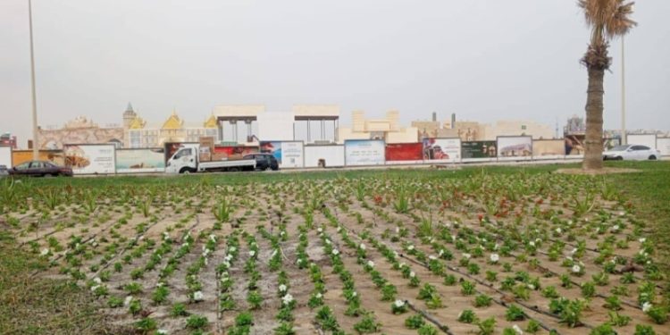 أمانة المنطقة الشرقية تتهيأ لافتتاح المدينة العالمية بالدمام مطلع 2026