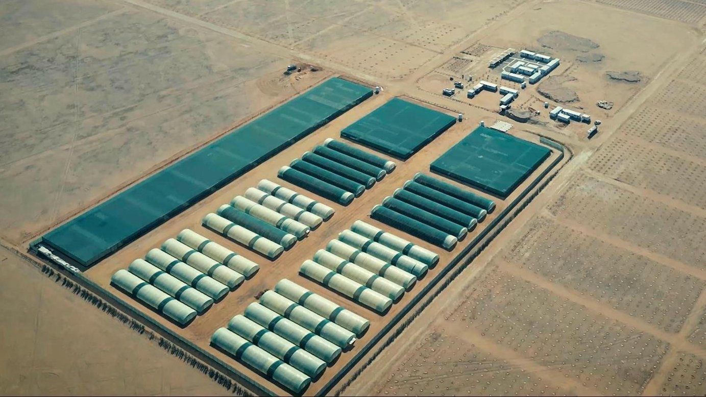 وزير الداخلية يدشّن مشروعًا بيئيًا نوعيًا لتعزيز الغطاء النباتي في محمية الملك سلمان بالجوف 