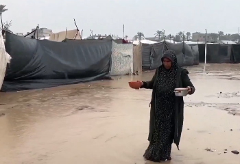 فيديو.. الأسر النازحة في قطاع غزة: الدعم السعودي السند الحقيقي لتخفيف المعاناة