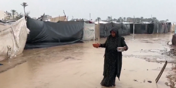 فيديو.. الأسر النازحة في قطاع غزة: الدعم السعودي السند الحقيقي لتخفيف المعاناة