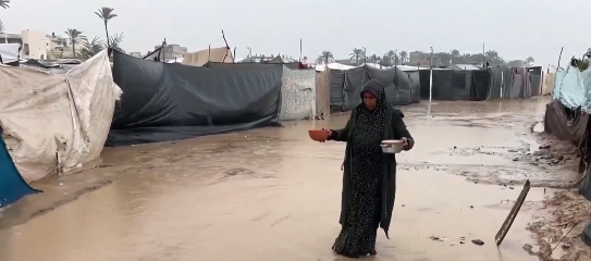 فيديو.. الأسر النازحة في قطاع غزة: الدعم السعودي السند الحقيقي لتخفيف المعاناة