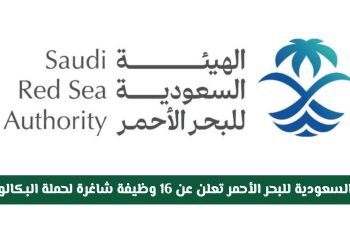 وظائف شاغرة في الهيئة السعودية للبحر الأحمر