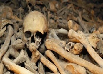 أكثر من 100 جمجمة وعظام بشرية داخل منزل شاب في بنسلفانيا| ما القصة؟