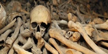 أكثر من 100 جمجمة وعظام بشرية داخل منزل شاب في بنسلفانيا| ما القصة؟