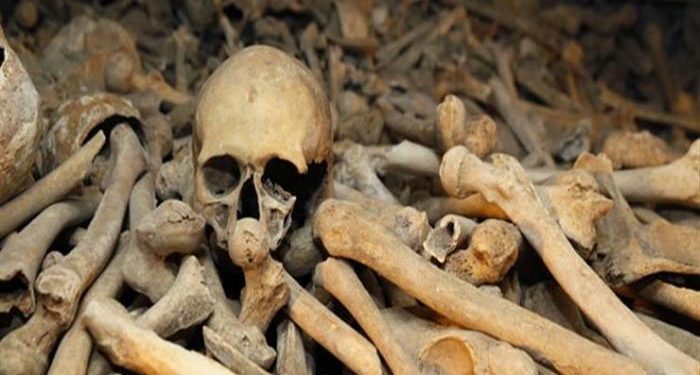 أكثر من 100 جمجمة وعظام بشرية داخل منزل شاب في بنسلفانيا| ما القصة؟