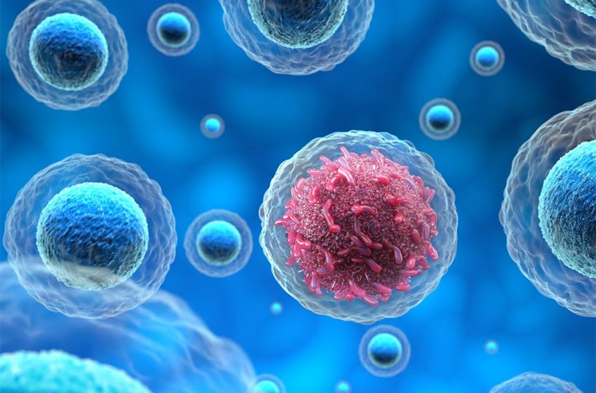 مسكن شائع يحمل خصائص محتملة تعالج للسرطان