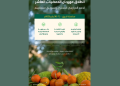 مهرجان “حمضيات الحريق”.. انطلاقة جديدة لدعم المزارعين المحليين وتعزيز السياحة الزراعية