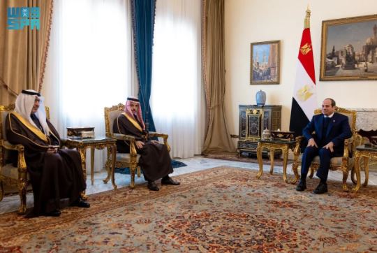 الرئيس المصري يستقبل وزير الخارجية