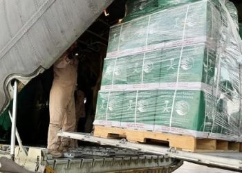 وصول الطائرة الإغاثية السعودية الـ79 إلى مطار العريش لنقل مساعدات إلى غزة