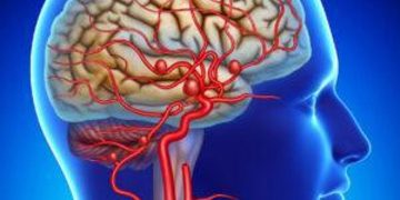 الأوعية الدموية