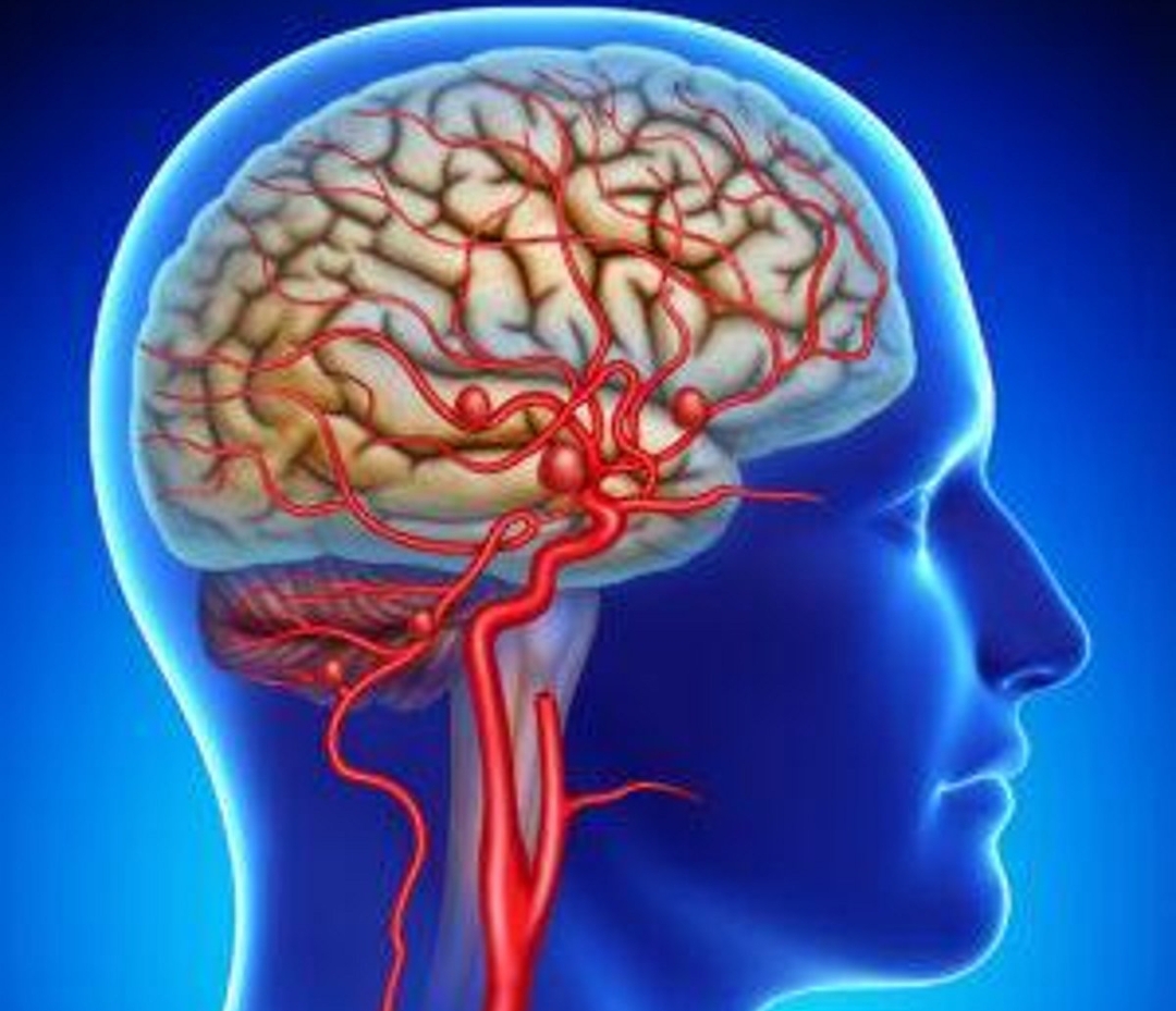 الأوعية الدموية