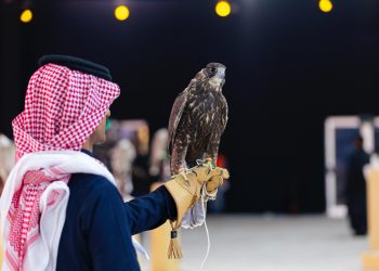 انطلاق مسابقة المزاين بمهرجان الملك عبدالعزيز للصقور في الرياض