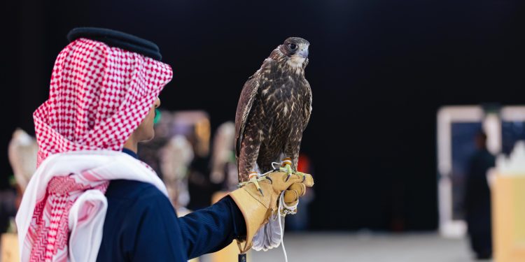 انطلاق مسابقة المزاين بمهرجان الملك عبدالعزيز للصقور في الرياض