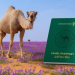 كيف يساهم “جواز سفر الإبل” في توثيق الهوية وتحسين الخدمات بالسعودية؟ 
