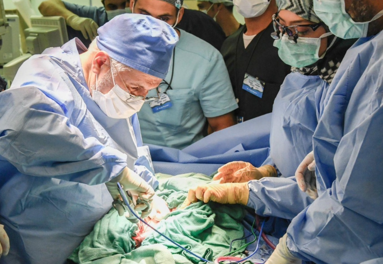 فصل التوائم