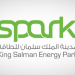 وظائف شاغرة للسعوديين في مدينة الملك سلمان للطاقة “سبارك”