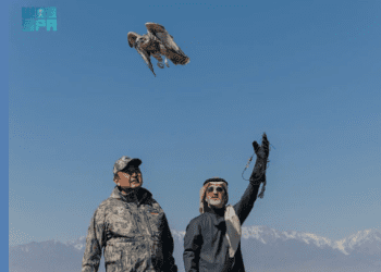 من السعودية إلى كازاخستان.. صقور تنطلق في مهمة بيئية