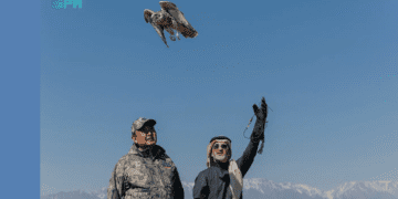 إنجاز بيئي يتجاوز الحدود.. السعودية تحمي تراث الصقور عالميًا