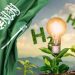 السعودية في صدارة التحول العالمي نحو الهيدروجين الأخضر