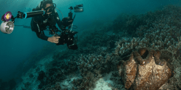 ناشونال جيوغرافيك وأمازون