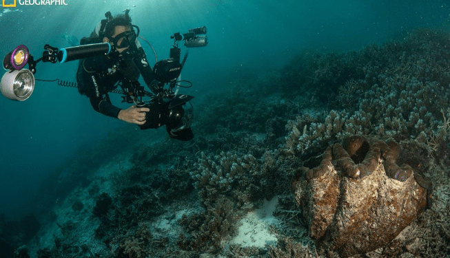 ناشونال جيوغرافيك وأمازون