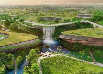 السعودية الخضراء.. خطة المملكة الطموحة للوصول إلى 40 مليون هكتار من التشجير