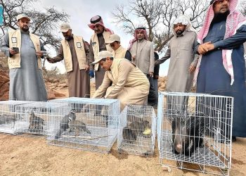 مبادرات “أجاويد4” تعزز الحراك البيئي والسياحي في عسير