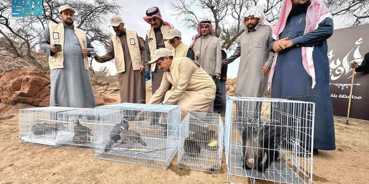مبادرات “أجاويد4” تعزز الحراك البيئي والسياحي في عسير