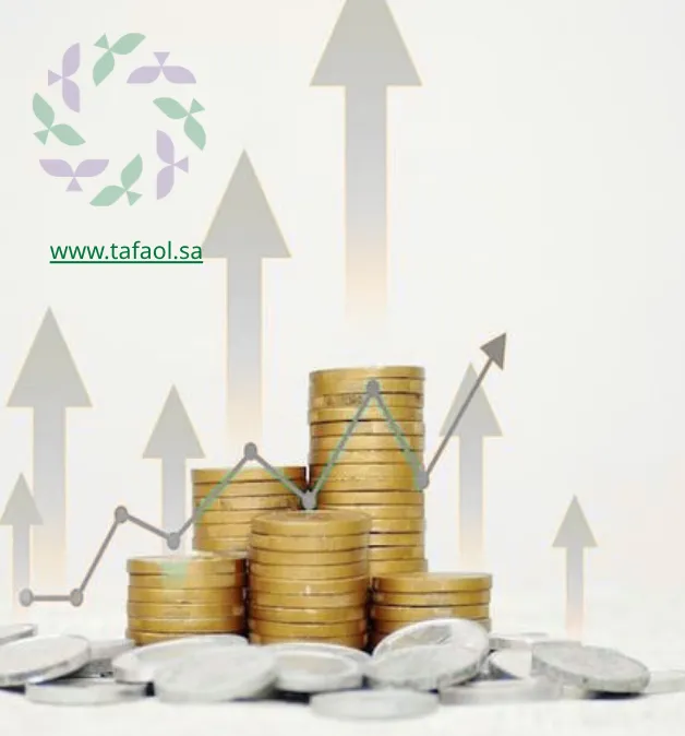 كيف تستثمر أموالك