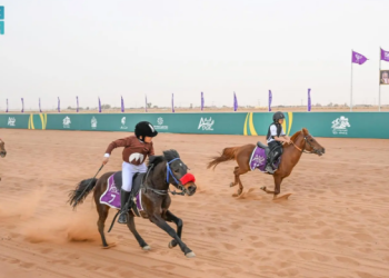 ميدان فروسية حائل 2026