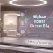 مسابقة Honor Dream Big