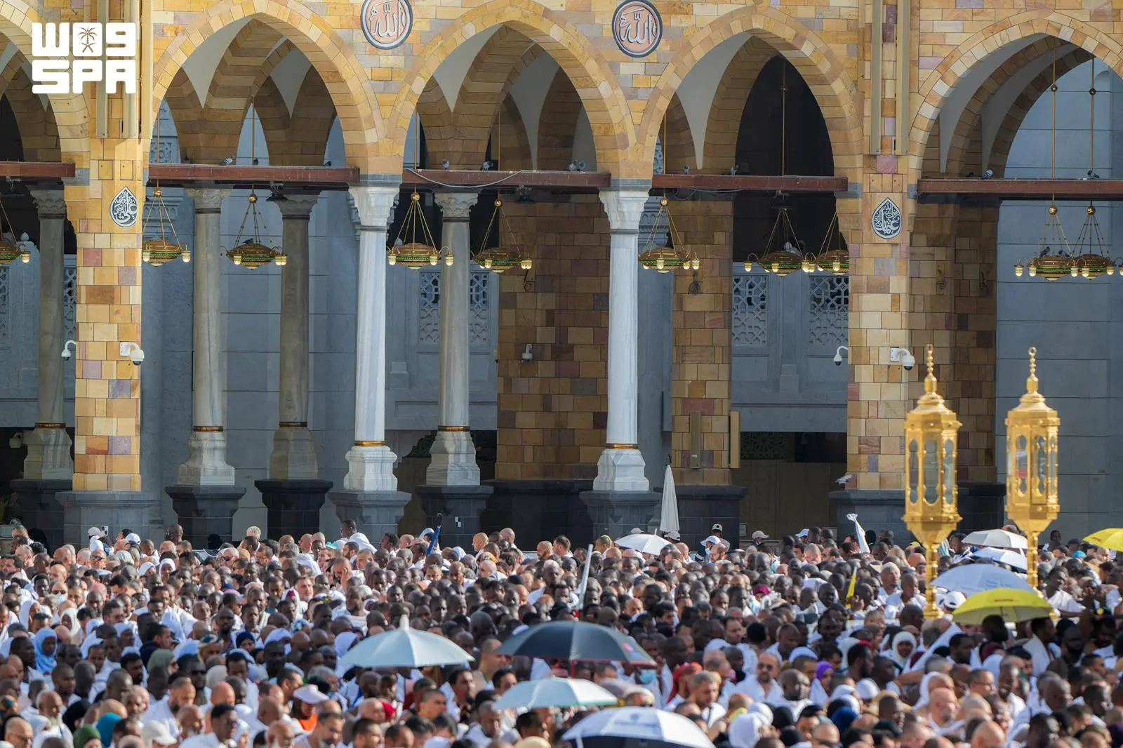 طواف الإفاضة وسط منظومة تنظيمية متطورة