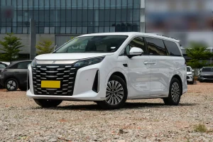 بي واي دي XIA 2025 فئة المدى الطويل: فان المستقبل التقني بالمدى الممتد