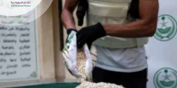تعاون سعودي لبناني