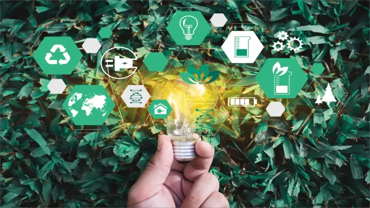 الذهب الأخضر في السعودية.. استثمارات واعدة 