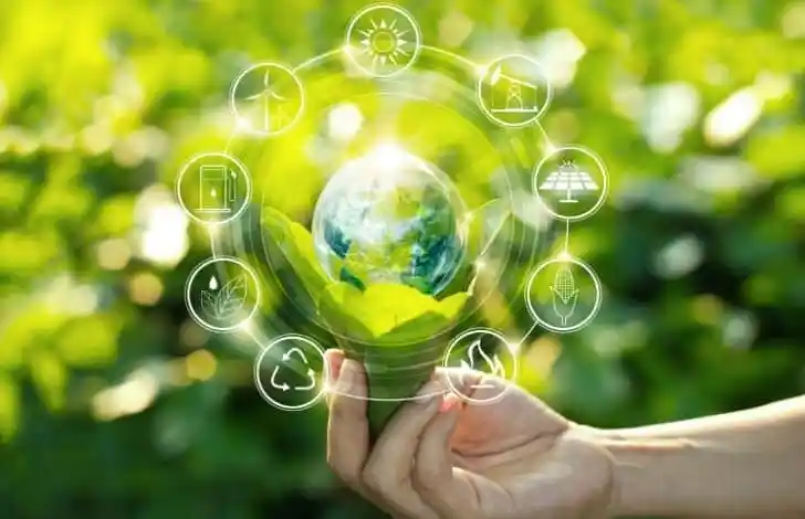 الذهب الأخضر في السعودية.. استثمارات واعدة 2