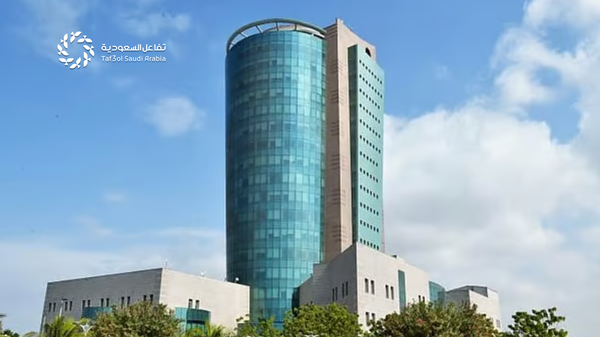 تعليق الدراسة في جامعة جازان
