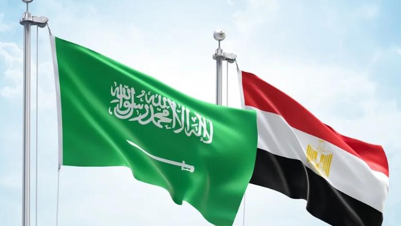 مجلس الدفاع الوطني المصري